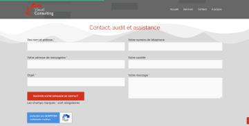 Viaud Consulting - Page d'accueil zone contact