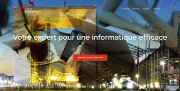 Viaud Consulting Page d'accueil